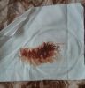 20180210_141918.thumb.jpg.27e2fd73bbcda5055d7d44e09ab4b206.jpg
