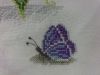 20180210_194234.thumb.jpg.730ca6ceb5b05cf7c84e6337e799ef3a.jpg