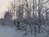 20180211_105436.thumb.jpg.dd57eb2ffc9e37045c8953a6f4d6522a.jpg