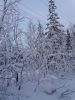 20180211_105521.thumb.jpg.98f70e0636fd72144b7209d4758bc62c.jpg