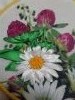 20180211_123534.thumb.jpg.c57d77690304416cb2fc127a3e88e58f.jpg?1518355959030