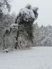 20180211_145607.thumb.jpg.259cd14654a8002feb3f523cf580eaa4.jpg