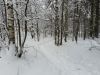 20180211_152957.thumb.jpg.2916c4cf48b25d683035ca6cbf29620a.jpg