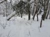 20180211_153233.thumb.jpg.d3ffa96ab952eddf4dea9bb27cb56fbc.jpg