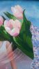 20180211_163050.thumb.jpg.1e72e3aea03a1076370106fbb5ea3073.jpg