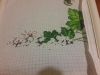20180212_004517.thumb.jpg.7a80905ccc0a4255b9aaaf3f69563cba.jpg