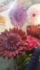 20180217_135838.jpg