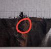 20180220_152239.thumb.jpg.860e33babf54e7ad7f7d4278dd3ff885.jpg