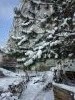 20180226_104511.thumb.jpg.700e1763833294ee14e172809746629d.jpg?1519633037978