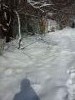20180226_104804.thumb.jpg.b7d844b0049b5c550e2b940662887c87.jpg?1519633054638