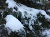 20180226_105248.thumb.jpg.f7357e39ccebc950f96a18d9e15de99f.jpg