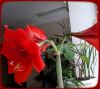 20180227_135615-1.thumb.jpg.822e009b37a1652fdce50a222344dae2.jpg