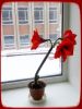 20180227_135641-1.thumb.jpg.8f8b17d795df76e0d3aa17de07268a5b.jpg