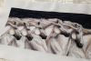 20180227_163757.jpg