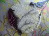 3.thumb.jpg.d2cca15891ab257db12a0ec7c63b7d2f.jpg