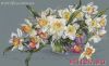 33029.thumb.jpg.7a9dadc28d96e46eca793889beacef65.jpg