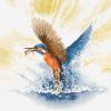 482_Kingfisher_in_Flight.thumb.jpg.a8241c274f7cb4d598fcc8e3e1839647.jpg