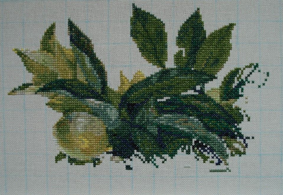 5a8d77ca05925_20.JPG.d75ca69047930113cef