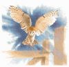 5a9595f116734_483_OwlinFlight.thumb.jpg.73559fb40ac9c8ef51f60f99485a4421.jpg