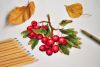 5a95c6e9be1ba_DSC_00871.thumb.jpg.e027cc2e7a413a1b5d42027b9451c596.jpg