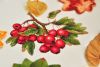 5a95c75b9f738_DSC_02271.thumb.jpg.1a8c773c6dcf10ab9a51cc040a5c3bd6.jpg