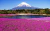 5a96e6c7897e2_KeindahanGunungFujiObjekWisataJepang.thumb.jpg.2a9797415bdc937843a84862c57a6c67.jpg
