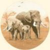 AMHE450-Heavy_Eaters-sm.jpg