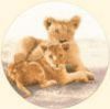 AMMP451-Mothers_Pride-sm.jpg