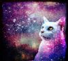 Cat-Art-Tumblr-Wallpaper-Galaxy-cat-skinagainstface-5627.thumb.jpg.6bbf8adddd3496314f2f8671a2b34327.jpg