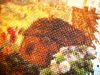 DSC00049.thumb.JPG.82b0d25d93a2a2b11bd8879fff776e55.JPG