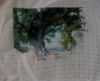 DSC00772.thumb.JPG.6a1fbabed593f20e62902ddadee6ee29.JPG