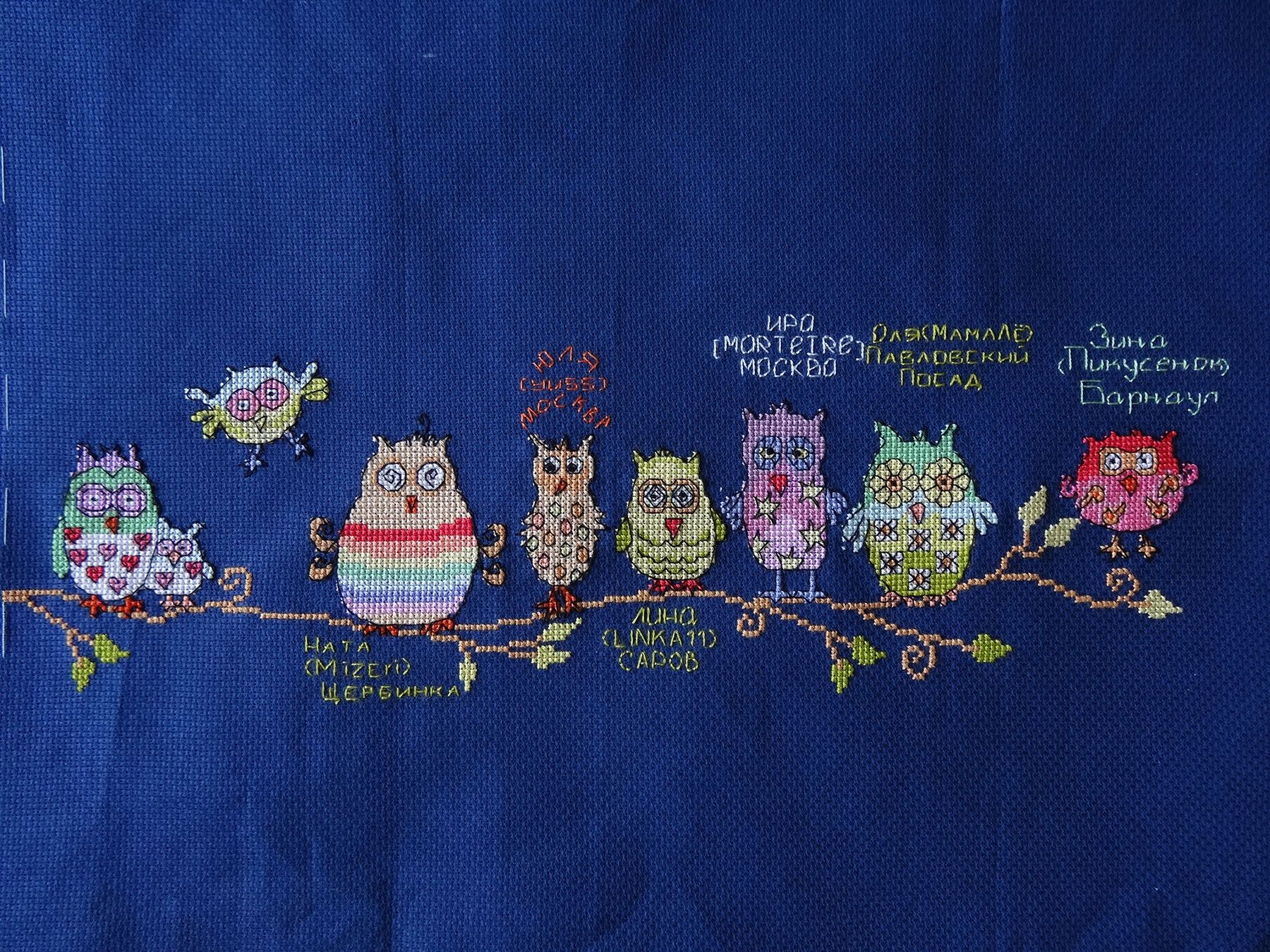 DSC02294_.jpg