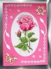 DSC06650.thumb.jpg.13362c7940e2c6abb57092daac482f9e.jpg