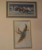 DSC07645.thumb.JPG.abab788d3954dbb089615d1f027e5abd.JPG