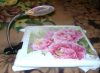 DSC082610.thumb.JPG.23b4208146d10efbedd60e2e620857d3.JPG