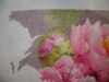 DSC08270.thumb.JPG.e11548cd66a0fc519fec807aff054adb.JPG