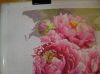 DSC08271.thumb.JPG.534202125f3eb4ba8deeeee34740bc55.JPG