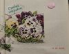 DSCN9108.JPG