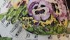 DSCN9238.JPG
