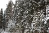 DSC_0138.thumb.JPG.2649358cb7662ced3df6647e97769bb4.JPG