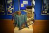 DSC_0196.thumb.JPG.c647832a484d5df8166d38c1b450c2c3.JPG