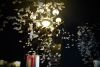 DSC_0233.thumb.JPG.ed3f70944de505473460c5c1ababf121.JPG