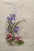 DSC_0399.thumb.JPG.9a34d4d4f3c8dc6943a9439547a65c23.JPG