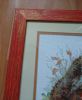 DSC_0402.thumb.JPG.2c95f46948fec6765fe0524312184055.JPG