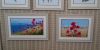 DSC_0588.thumb.JPG.e6e62da08f6a750817de6a35a2e1694a.JPG