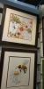 DSC_0600.thumb.JPG.8076d63d2bbdeb34e8f15858ac3c6f6b.JPG