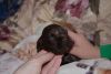 DSC_0836.thumb.JPG.d44f53fb8b0f6a44e31aedf3d4c29398.JPG