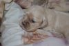 DSC_0864.thumb.JPG.6e0cd686377f922320f71f77853afb98.JPG