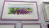 DSC_7565.thumb.JPG.5b59bf8f712b7c6aab1b87afeb4f3f2f.JPG