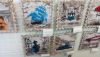 DSC_7664.thumb.JPG.cb08a88794566e2a9840693234e5d5fc.JPG